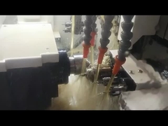 sm205 İsviçre tipi